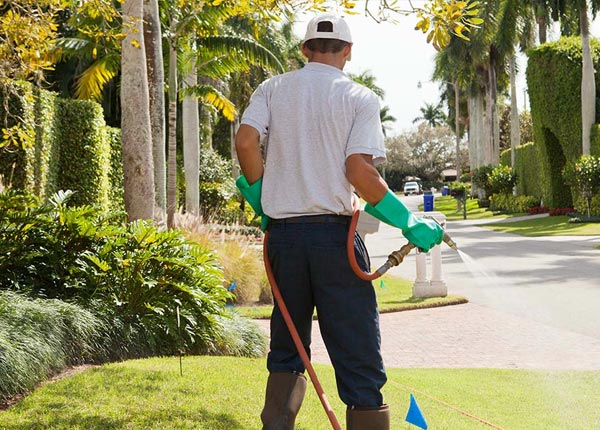 About Clearfield KY Pest Control Pros